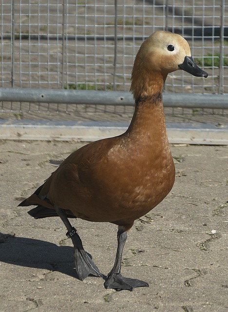 尤其是在
