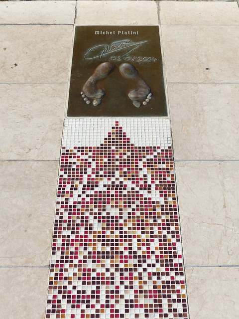 体性