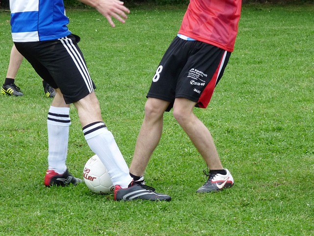 的新篇章 的新篇章