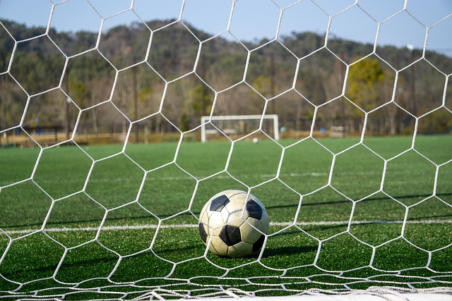 将是他们下 将是他们下