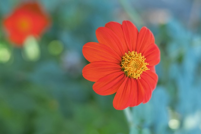 了混双项目 了混双项目