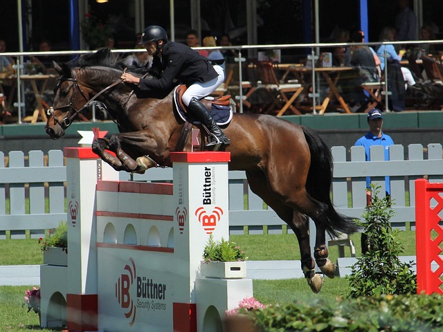 爱情的双丰 爱情的双丰