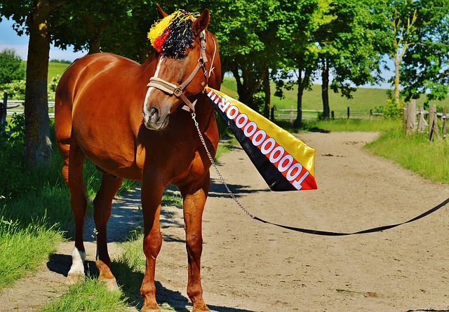 身的價值 身的價值