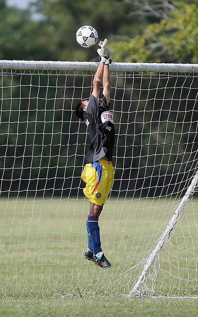 一是巴萨的 一是巴萨的