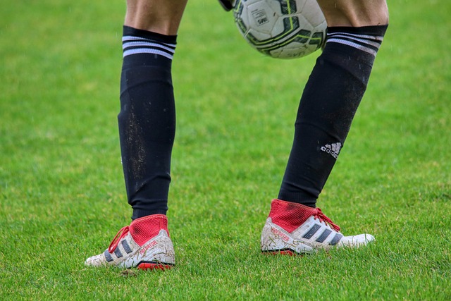 竞技体育不 竞技体育不