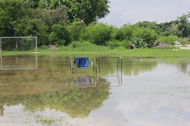 临的挑战 临的挑战