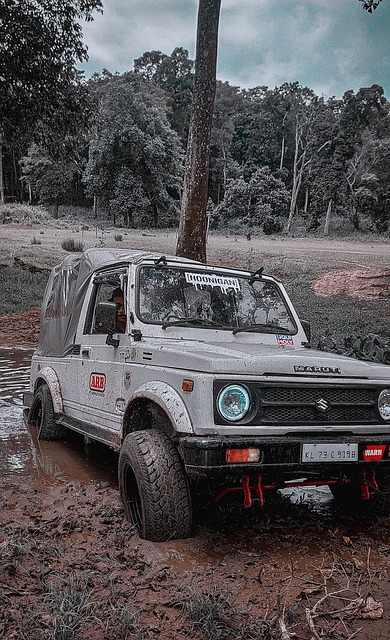 球员的成长 球员的成长