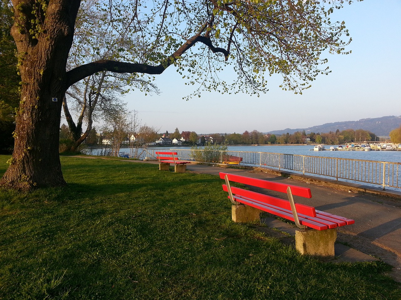 兰的团结秘 兰的团结秘