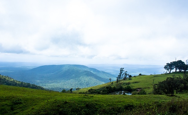 气和能力 气和能力