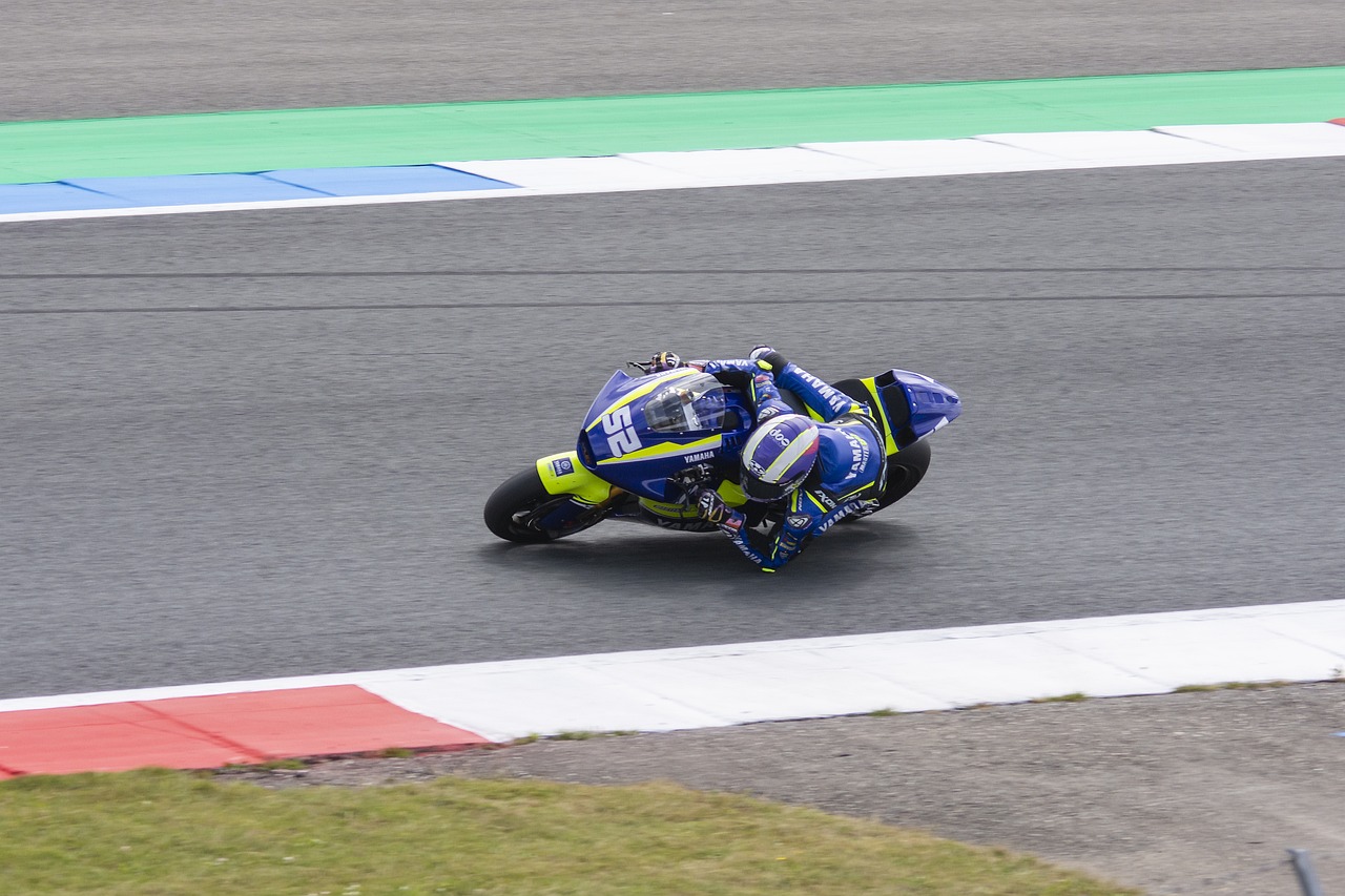 年培养上的 年培养上的