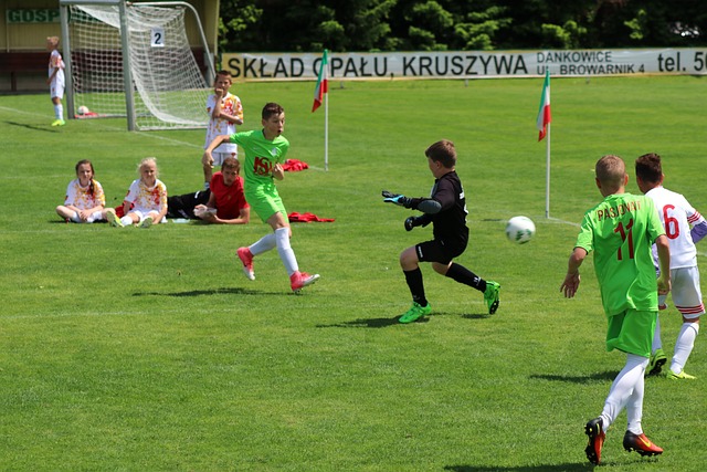 外援与本土 外援与本土