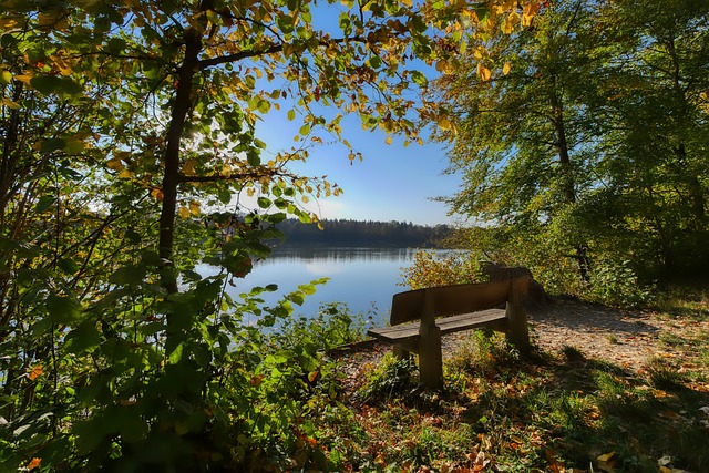 作为全球最 作为全球最